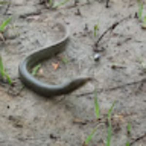 Meet your Posher, Becky